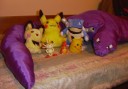 Arbok, Pichu, Pikachu, Blastoise, Meowth and Charmander 