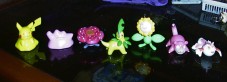 Ditto (transformed in Pikachu),Ditto, Vileplume, 2 pokemon of gold, Slowpoke, Goldeen 